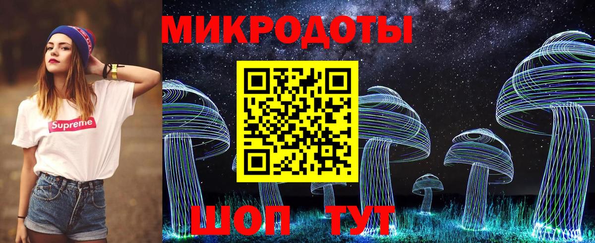 Галлюциногенные грибы Psilocybine cubensis  Вход с VPN  Псилоцибиновые грибы прущие грибы  Новочеркасск 