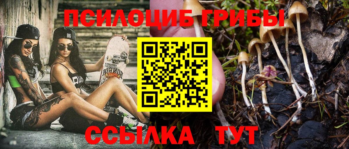 Псилоцибиновые грибы прущие грибы Новочеркасск